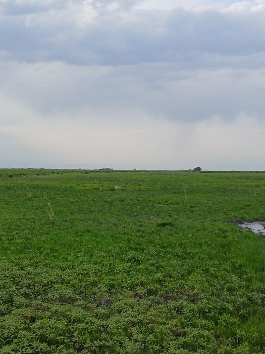 ФАЗЕНДА сатылады