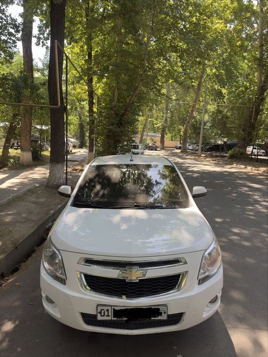 2022 avtamat kobalt