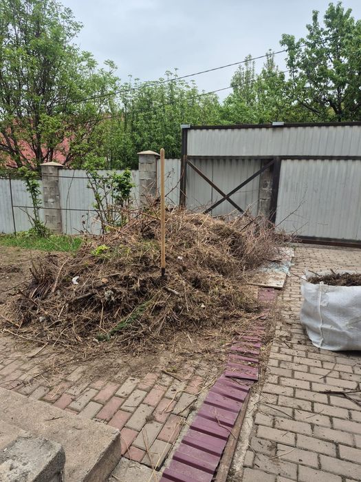 Вывоз мусора и хлама