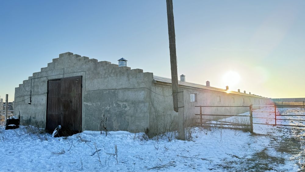 Крестьянское хозяйство