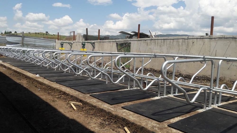 Столовые разделители для коров (лежанки)