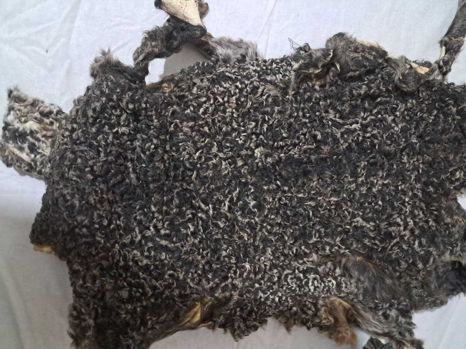 Qorako'l teri, каракуль шкурки, қоракўл тери сотилади