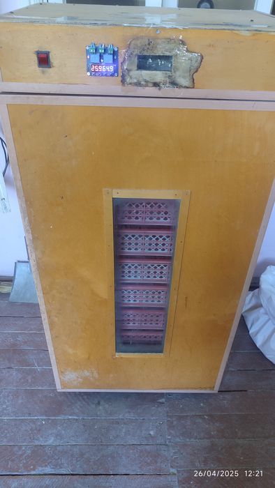 Inkubator 19 kundan keyin joʻja ochirish uchun yani raddom inkubator