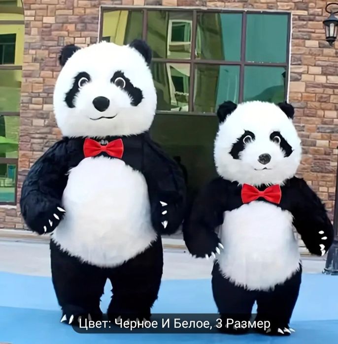 Айиклар сотилади  биринчи кол