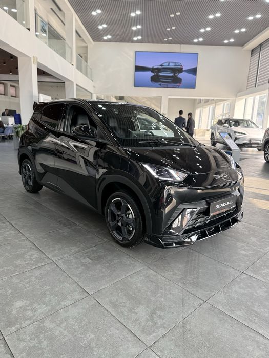 BYD Seagull 405km Flying