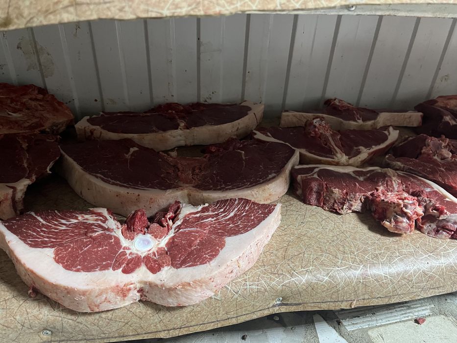 Продам жирных лошадей