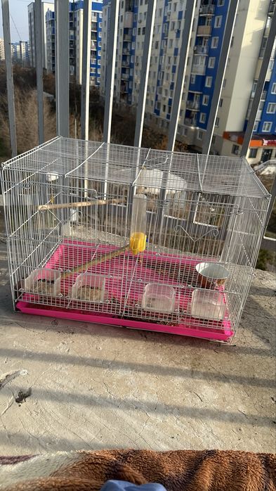 Сетка для птичек