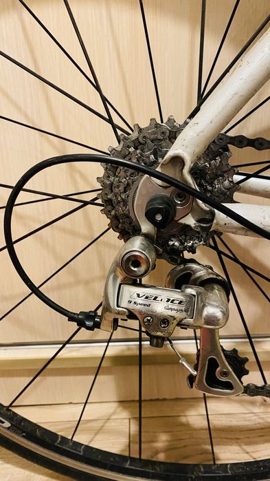 Cursiera Bianchi marime XS