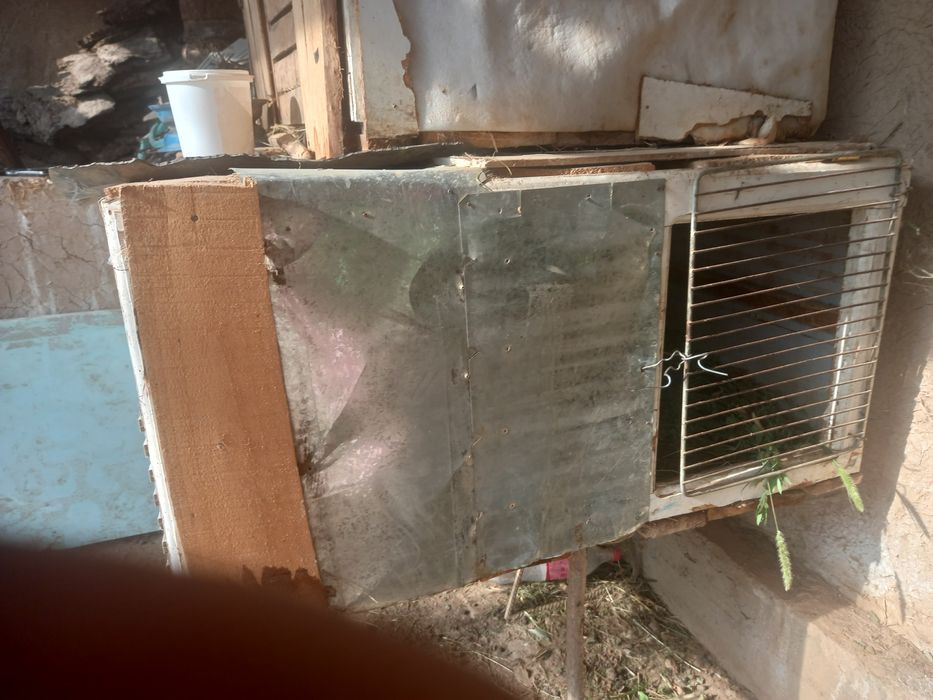 quyon uyi bor katta