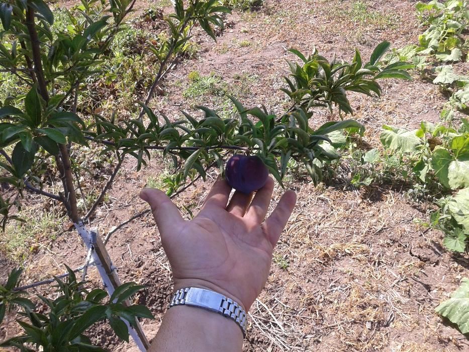 Продава се Къща в с. Черни връх, Област Бургас - 9 кв.м за 4111 €/кв.м - Снимка #8