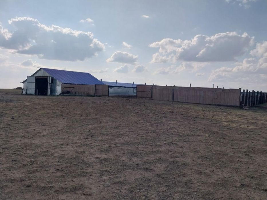 Продам крестьянское хозяйство