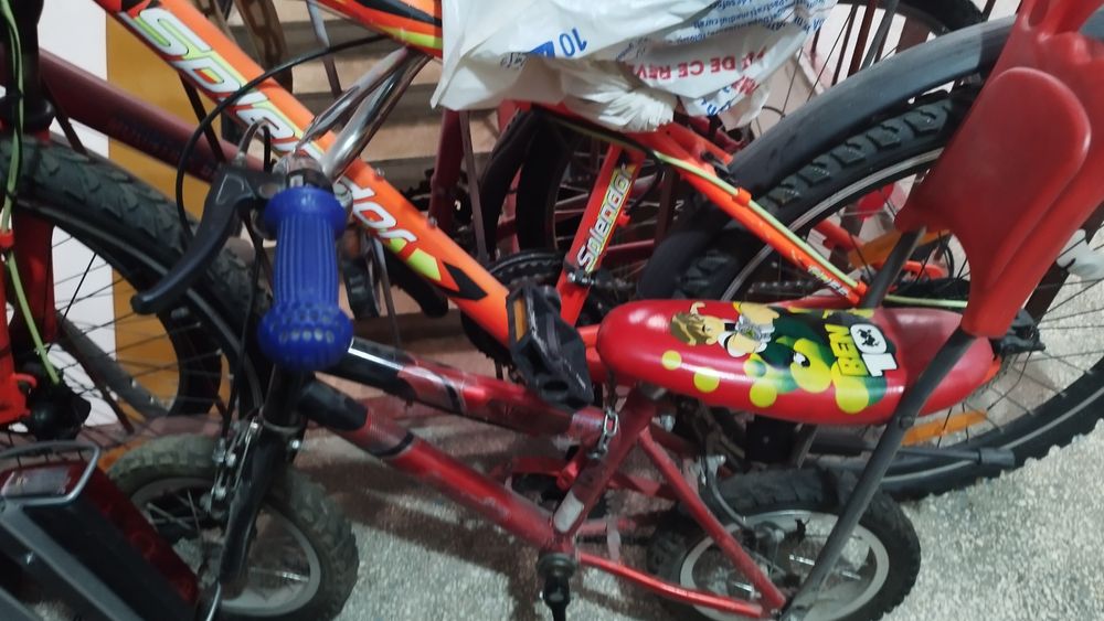 Role și bicicleta