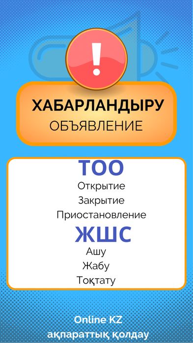 Разовые услуги бухгалтера ИП, ТОО отчет