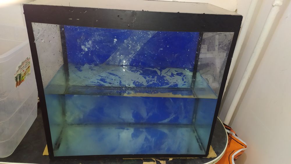 Продам рыбки обогреватель скребок аквариум 40 л