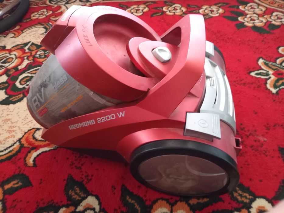 REDMOND 2200 w Rv-C316