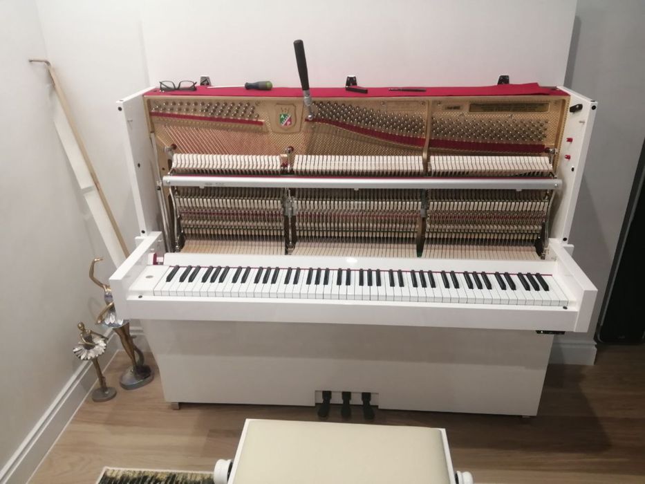 Настройка пианино и роялей город Семей