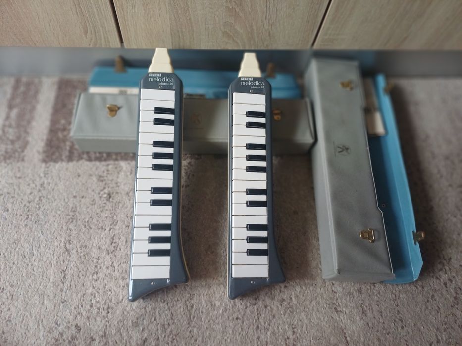 hohner melodica - Instrumente muzicale | OLX.ro