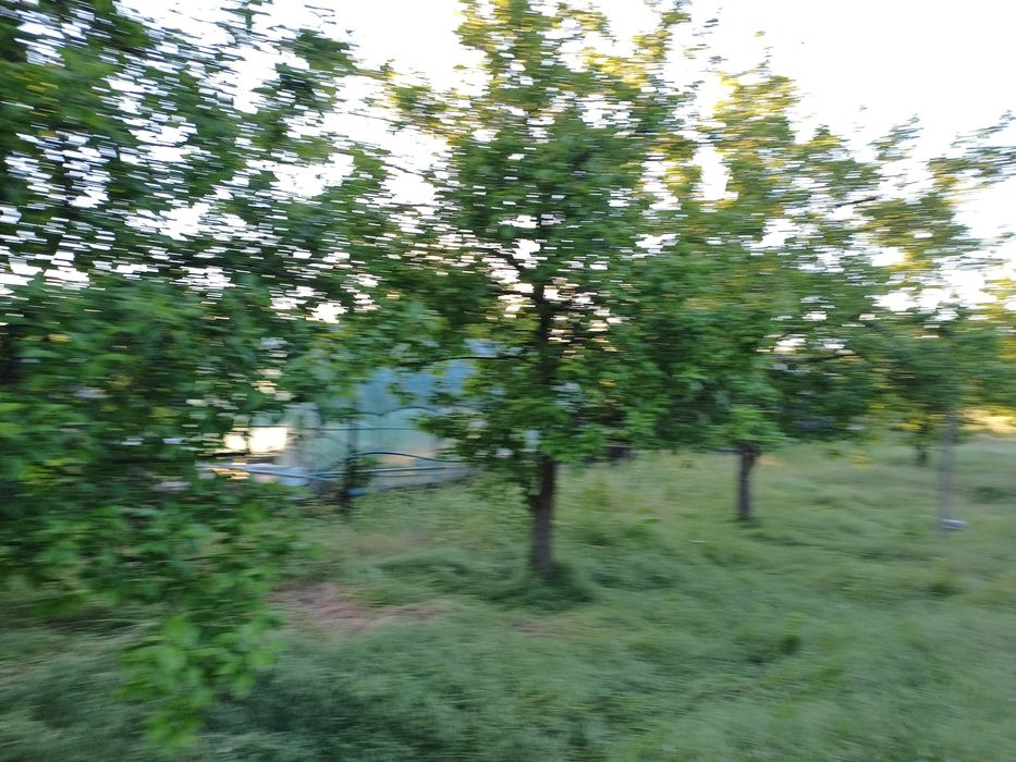 Дава се под наем Парцел в Аксаково - 1240 кв.м за 51 € - Снимка #4