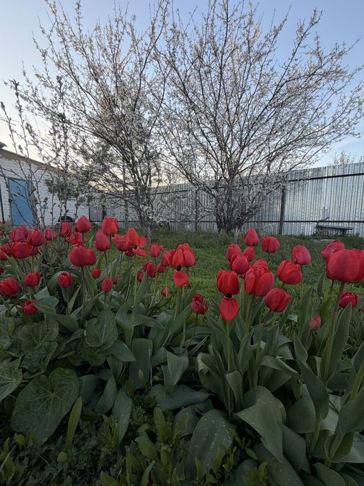 Продается дом кирпичный, 1990 г