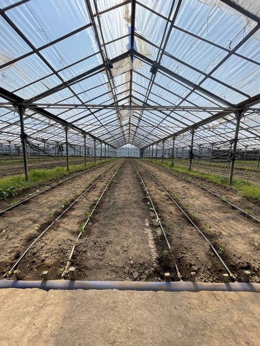 Строительство Тепличных комплексов