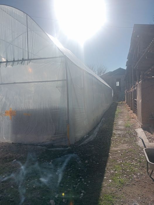 Теплица 7 соток.