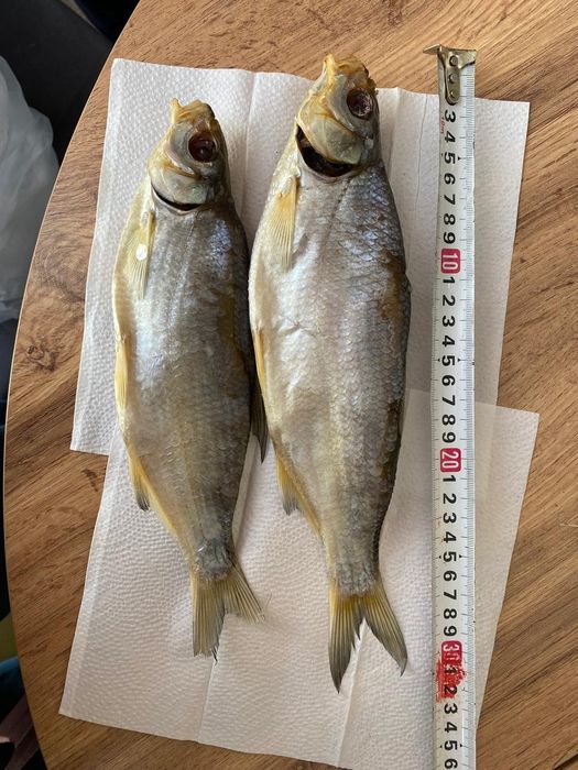 Рыбец малосольный Астана