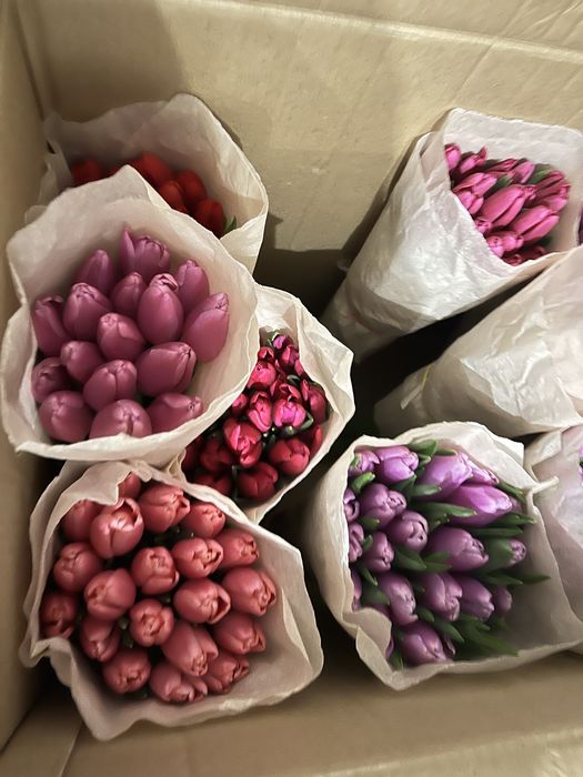 Тюльпаны в Актобе