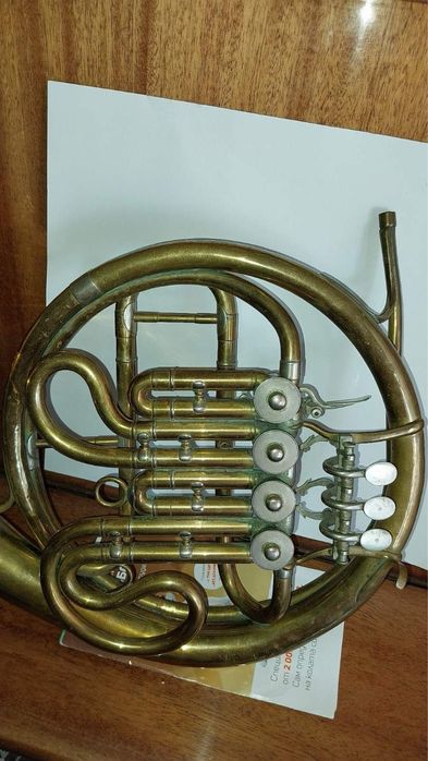 Валдхорна единична