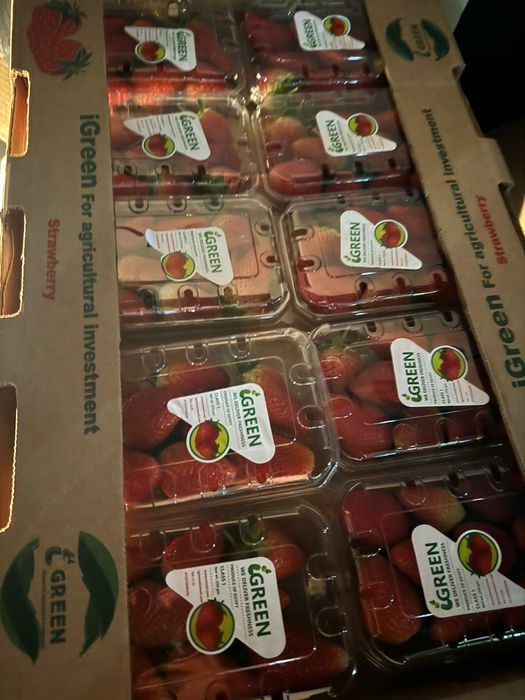 Клубника свежая 23000тенге ящик