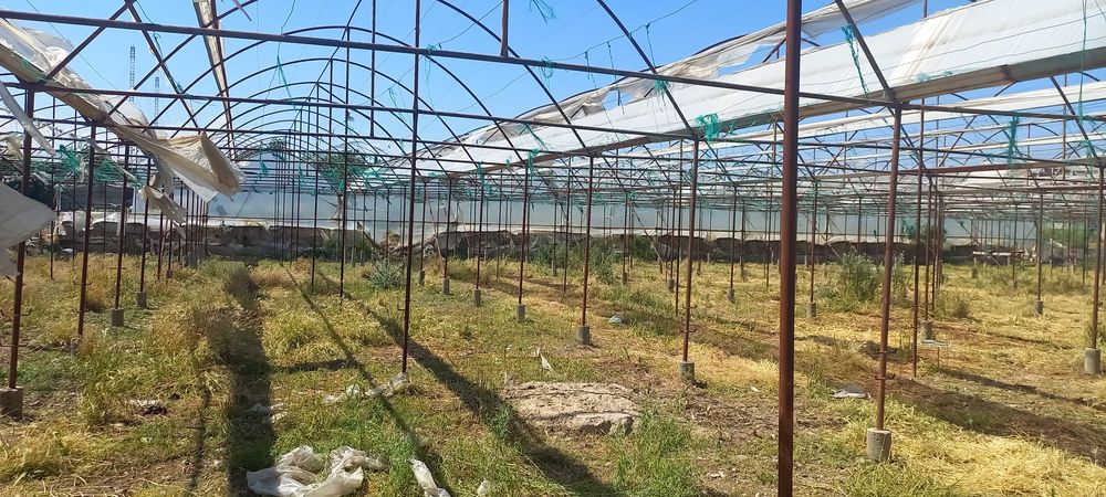 Иссикхона парник сотилади