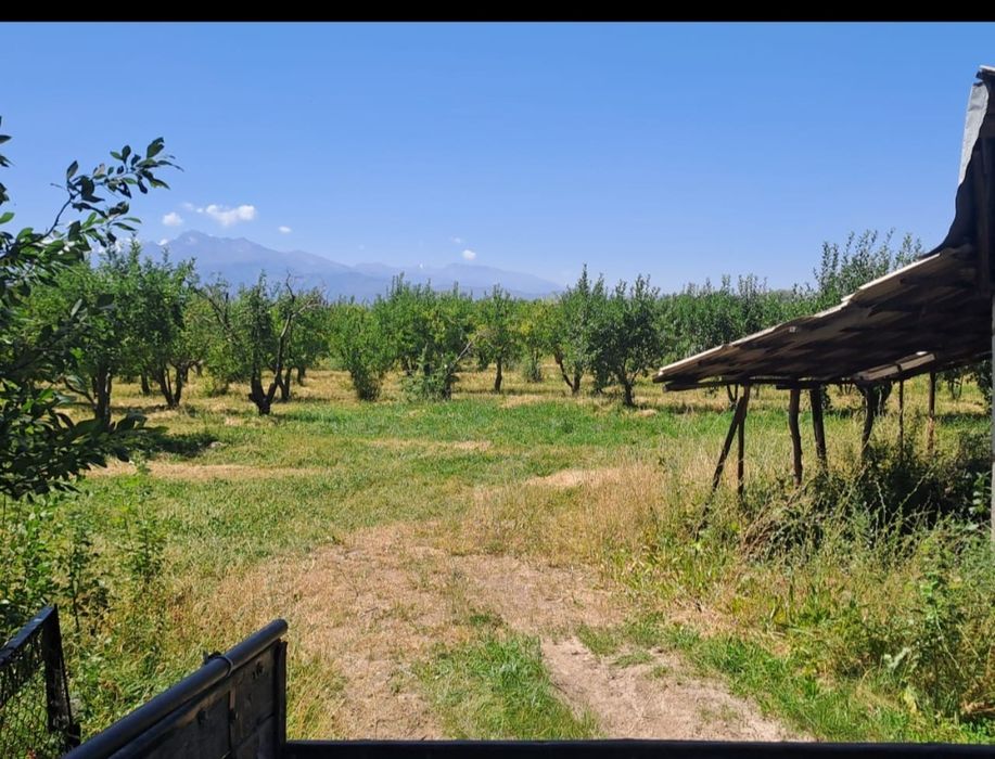 Продам землю с садом