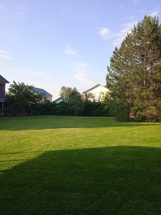 Посевной газон подключ