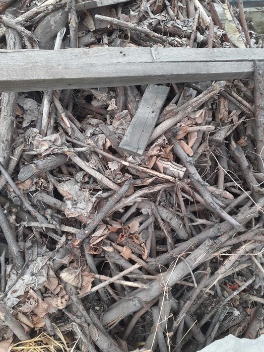 Продам дрова для бани