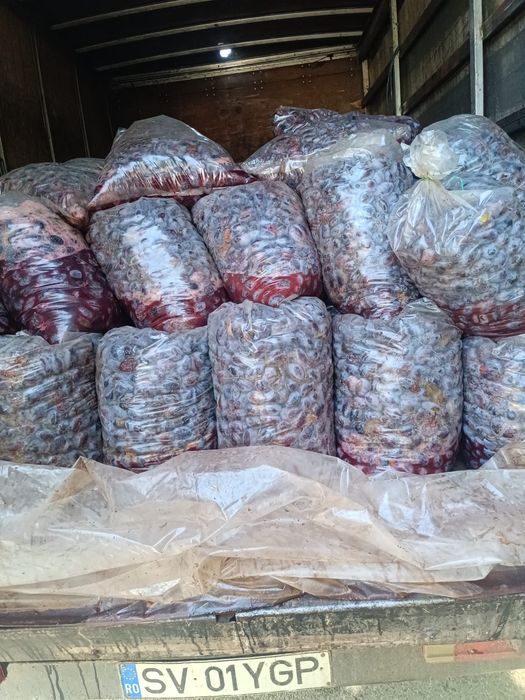 Prune pentru țuică