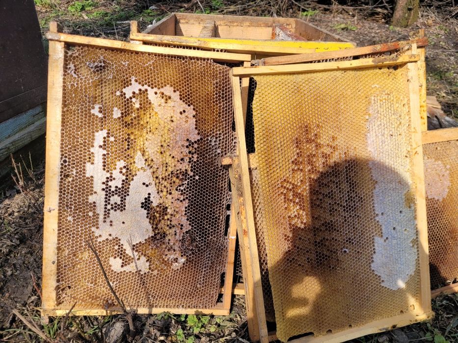 Vand rame stupi cu miere in ele