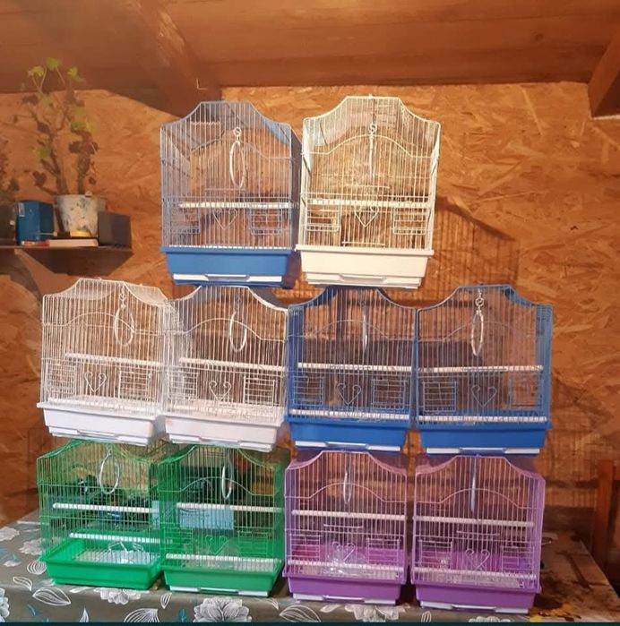 Vand perusi  tineri si maturi