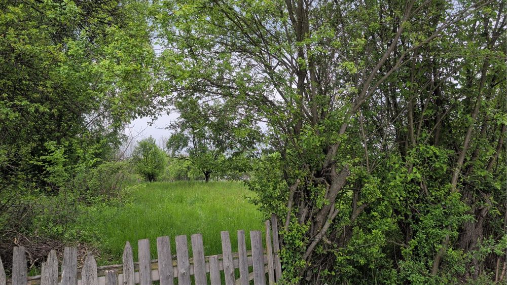 Doua Terenuri de vanzare Campulung Muscel si Bughea de Sus 3600/3300 mp pretabile casa/ investitie