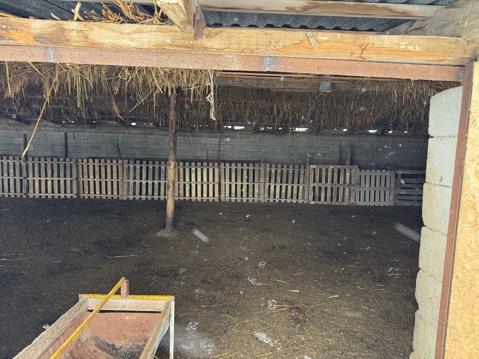 Продам ферму (фазенду)