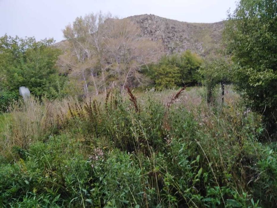 Продам дачу в Солнечной долине