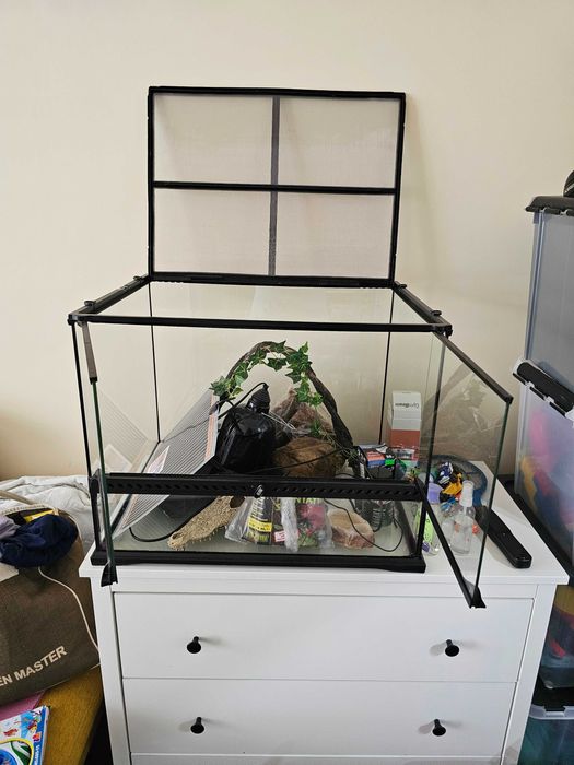 Терариум за влечуги