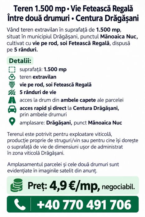 Teren 1.500 mp • vie pe rod - Fetească Regală • Centura Drăgășani