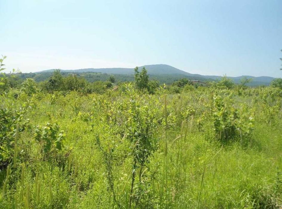 Продава се Парцел в Царево - 3031 кв.м за 25 €/кв.м - Снимка #4