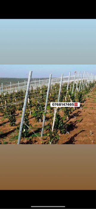 Vand spalieri stalpi zincati metal