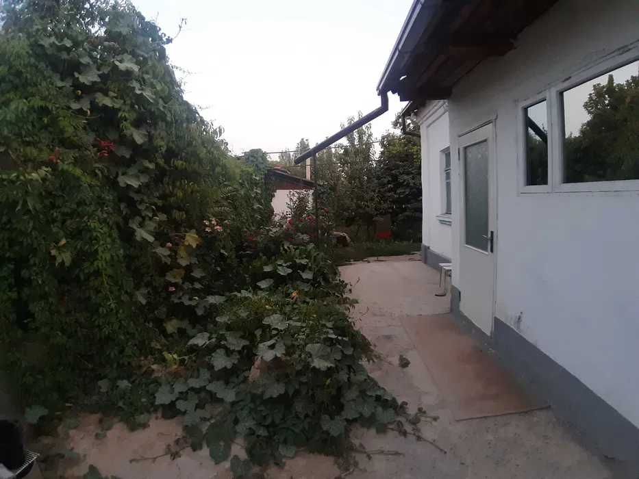 Продается участок. Свой. Олтинтепа. 6 сот. За сот. 35000. Супер цена!