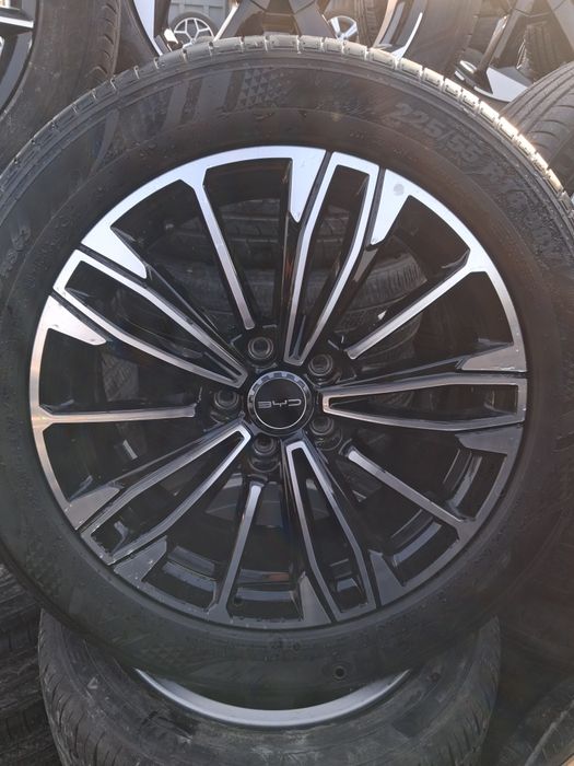 18 buvaydiga arginal diska balon