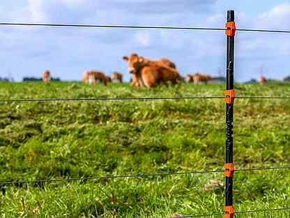 Электропастух Әр түрлі мощность бар