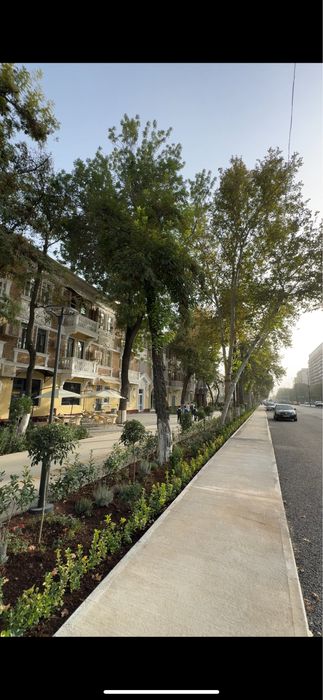 Продам квартиру на 1 этаже под нежилое 3/1/3 в центре Шота Руставели