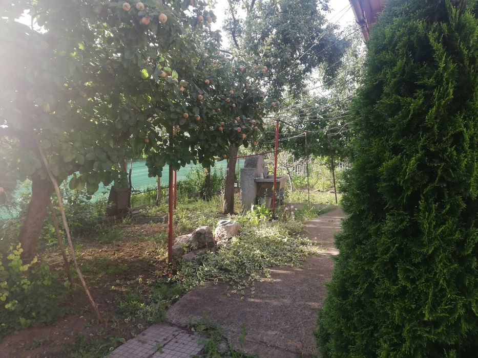 Продава се Етаж от къща в с. Петърч, Област София-област - 129 кв.м за 946 €/кв.м - Снимка #8