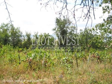 Продава се Парцел в Карлово - 620 кв.м за 41 €/кв.м - Снимка #3