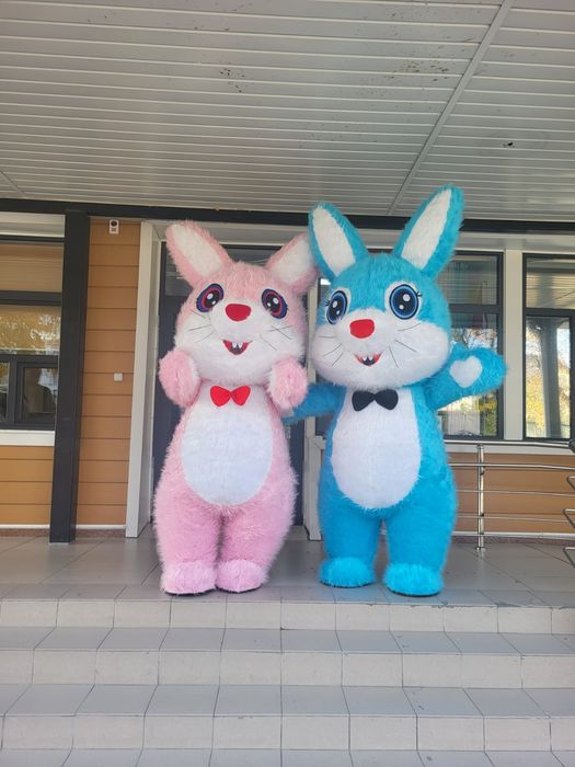 Аниматоры мишка тедди